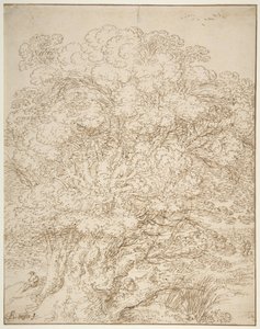Study of an Old Tree by Gillis Neyts